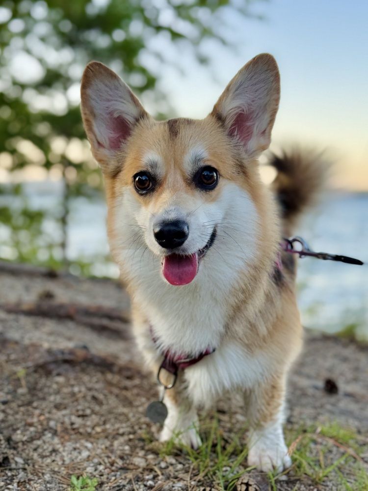 Photograph by Лазарева Анна Игоревна