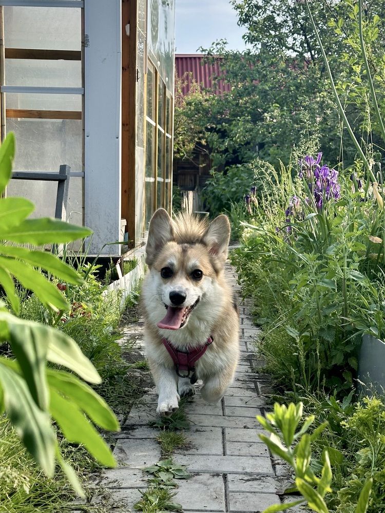 Photograph by Лазарева Анна Игоревна