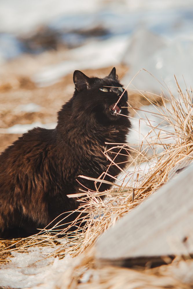 Photograph by Елена Владимировна