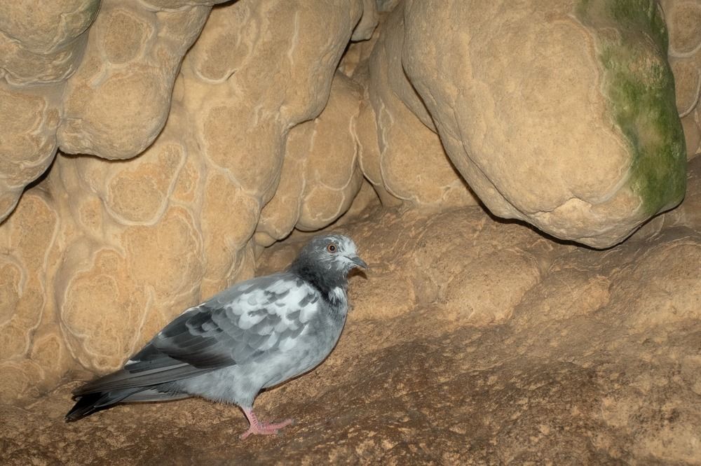 Фотография автора Kimia sadat partovi