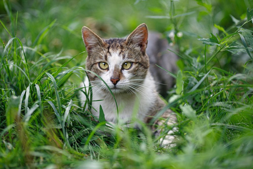 Photograph by Дарья Улюсова