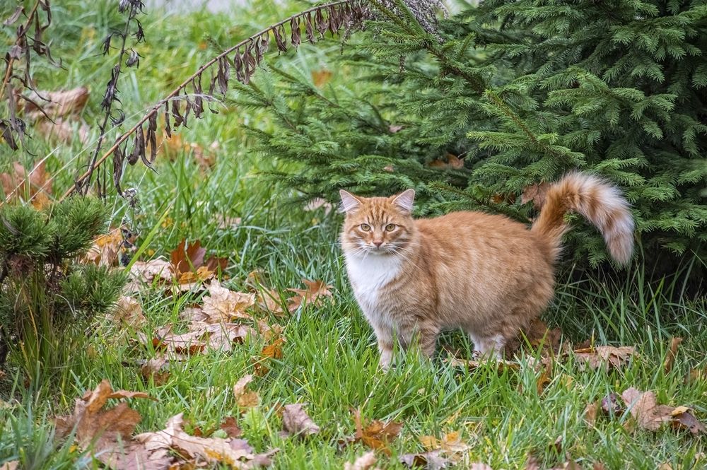 Photograph by  Валерий