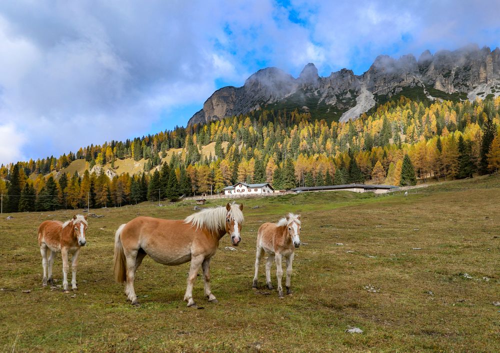 Photograph by Вадим Городницкий