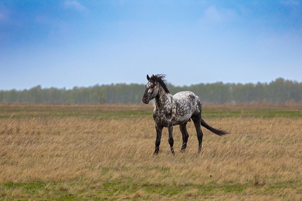 Photograph by Щепанов Дмитрий