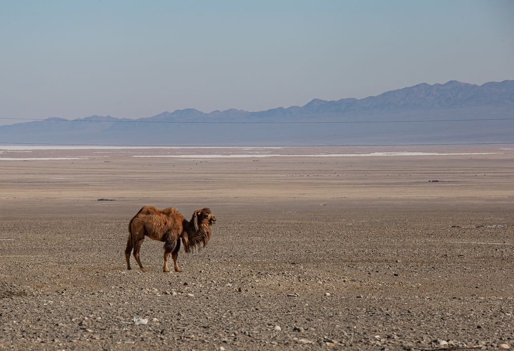 Photograph by Елена Павлова