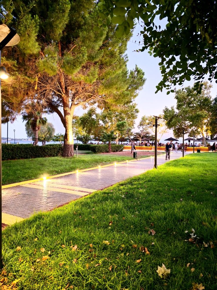 The Golden Hour Walk