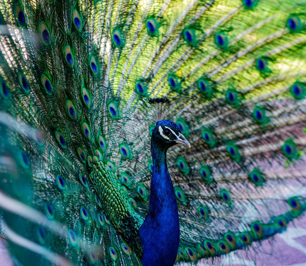 Photograph by Yevgeniy “WOT”