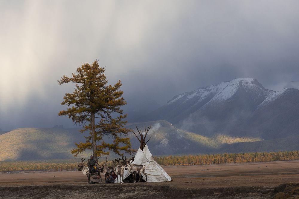 Photograph by Марина Маликова