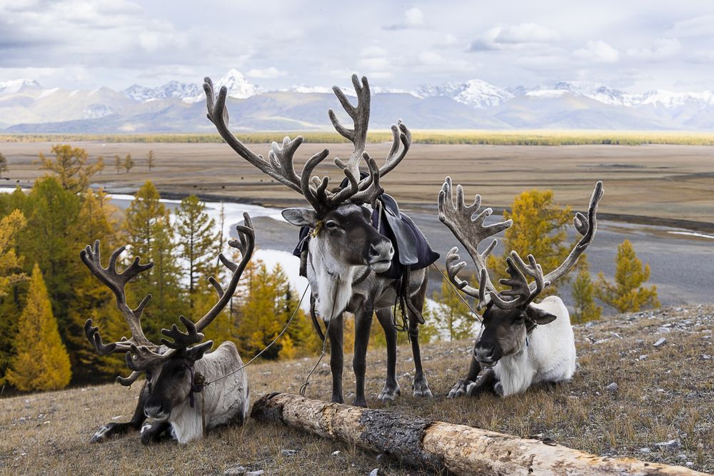 Photograph by Марина Маликова