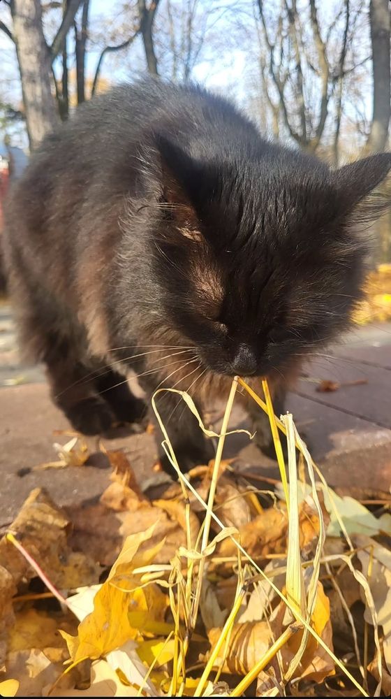 Photograph by Максим Кичкайло