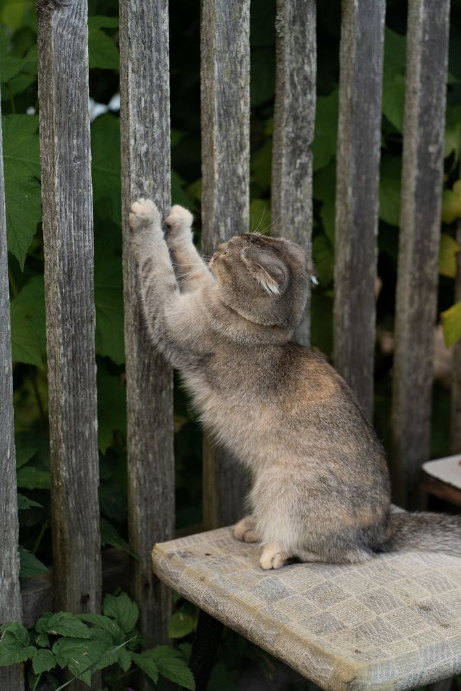 Photograph by Екатерина Одинцова