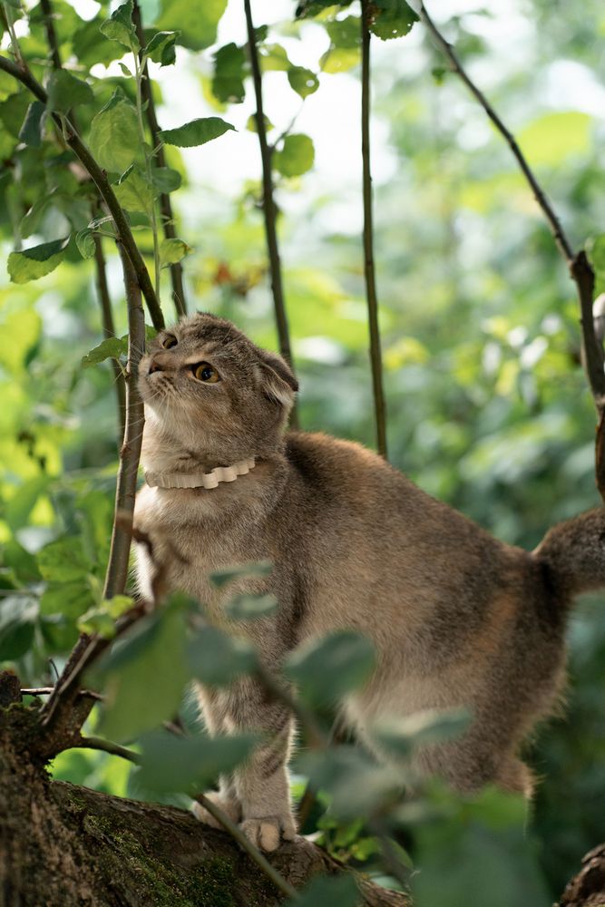 Photograph by Екатерина Одинцова