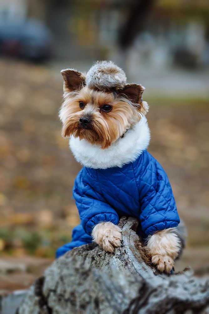 Photograph by MVO (Марк Орлов)