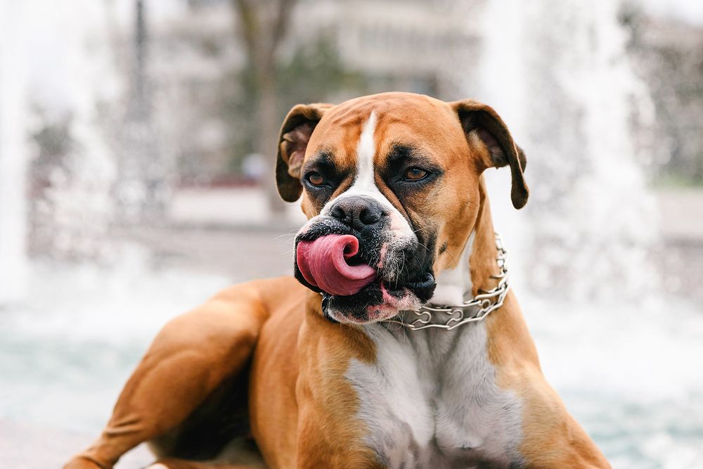 Photograph by MVO (Марк Орлов)