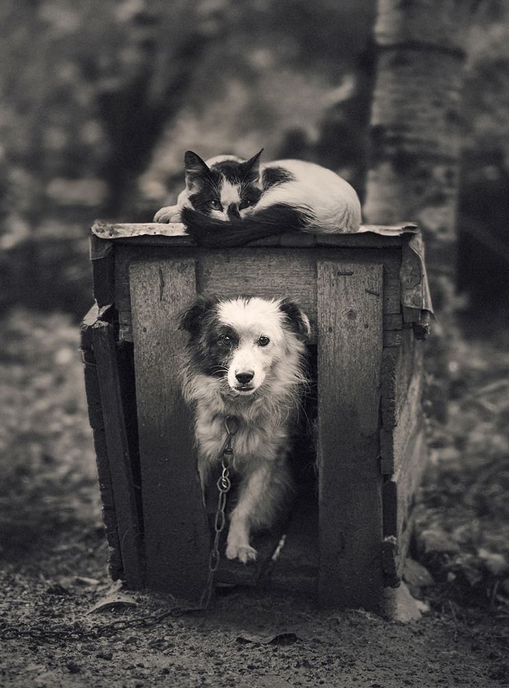 Photograph by MVO (Марк Орлов)