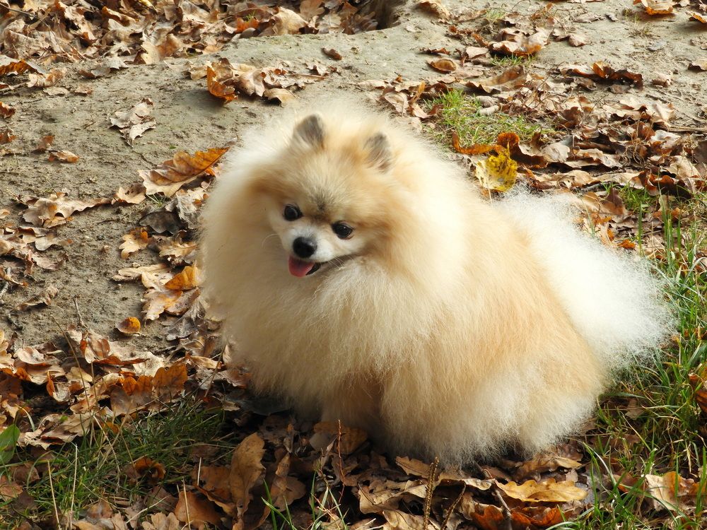 Улыбочка