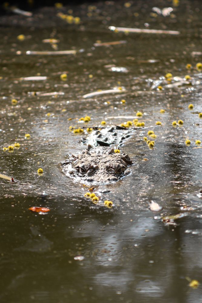 Photograph by Ziad Rizwan