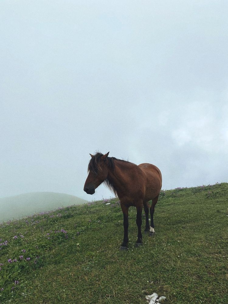 Photograph by Ирина Щербакова