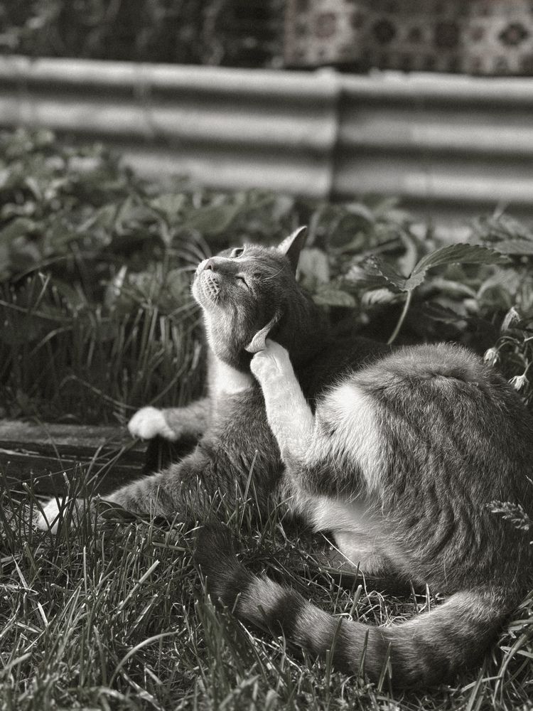 Photograph by Ирина Щербакова