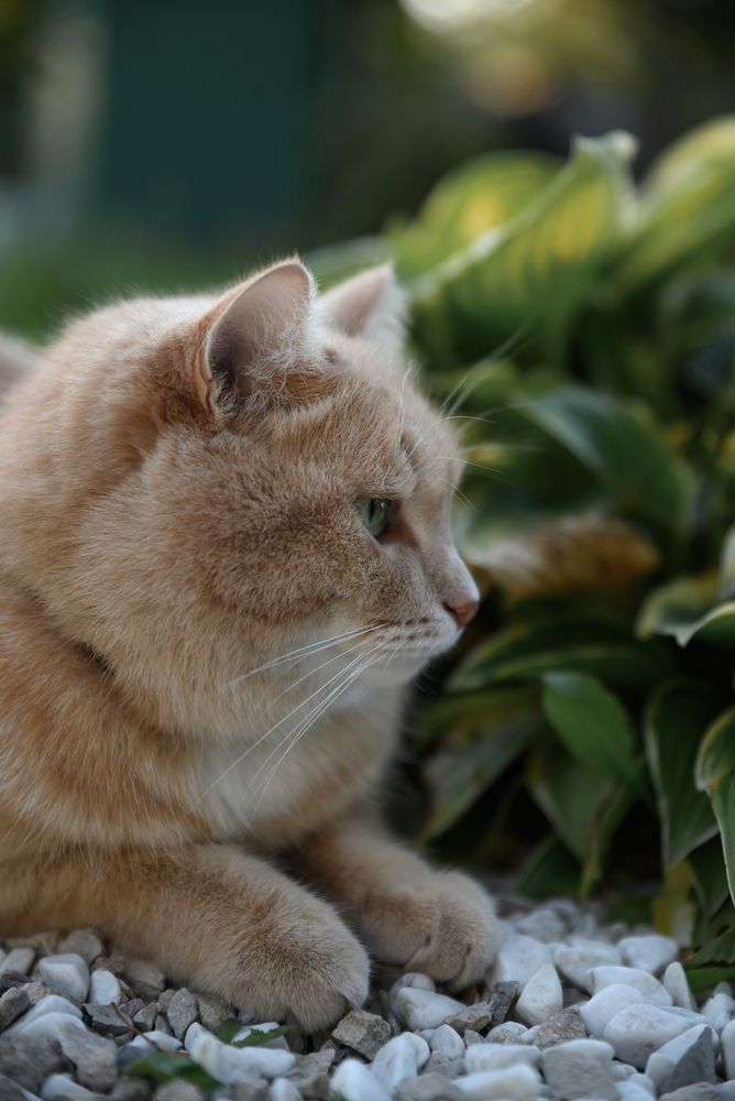 Photograph by Светлана Козлова