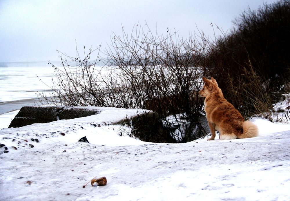 Photograph by Юлия Дягиль