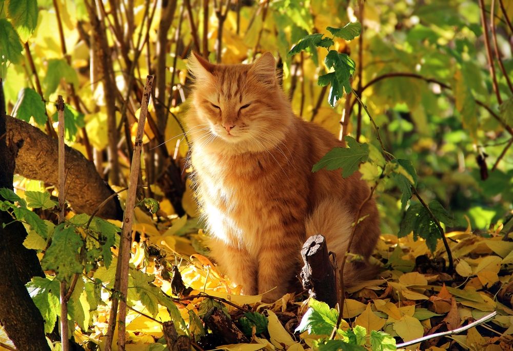 Photograph by Юлия Дягиль