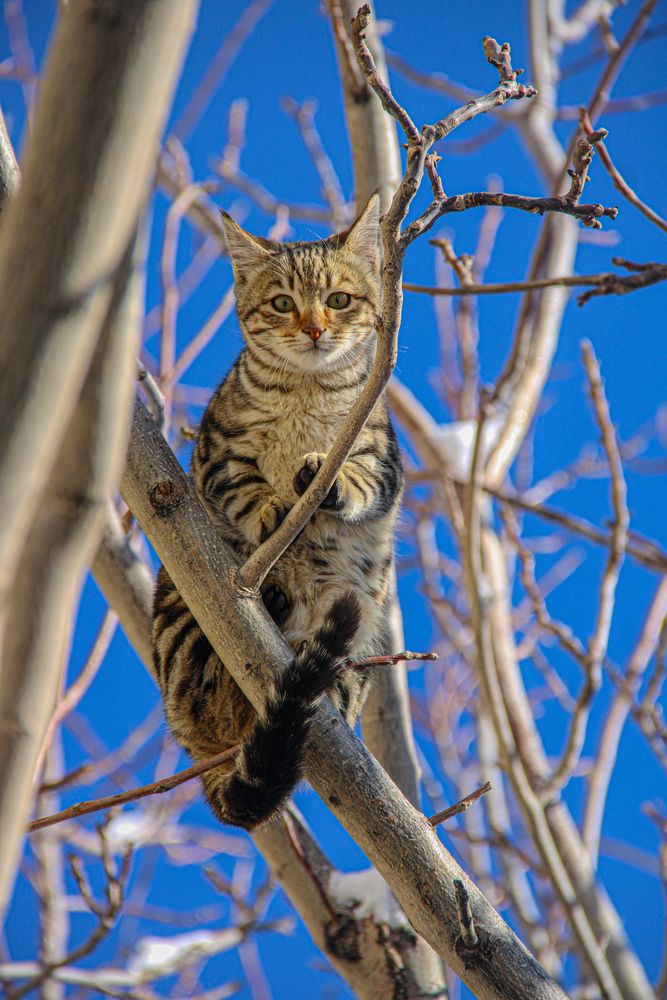 Photograph by mehdi_rezaei