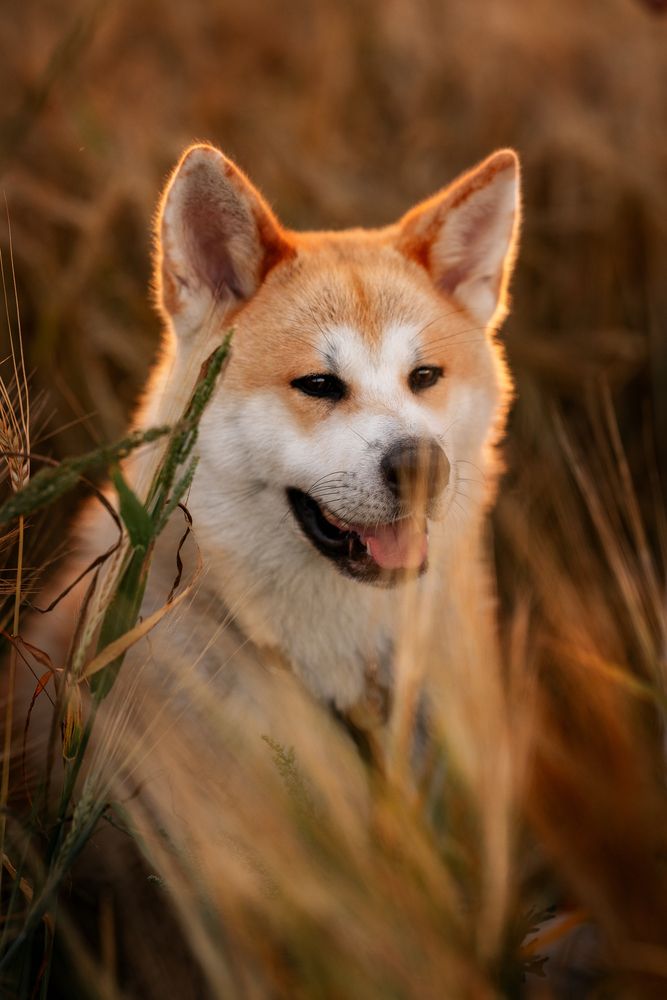 Photograph by Виктория Чушкина