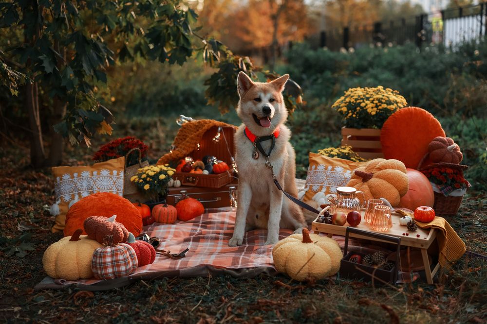 Photograph by Виктория Чушкина