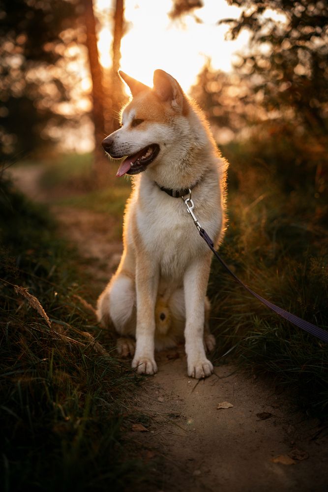 Photograph by Виктория Чушкина