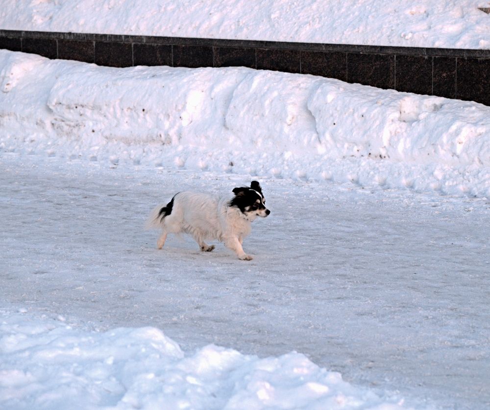 Photograph by Михаил Король