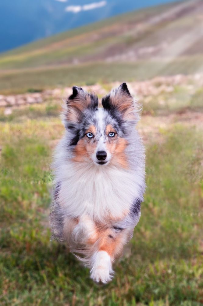 Фотография автора Наталья Якушонок