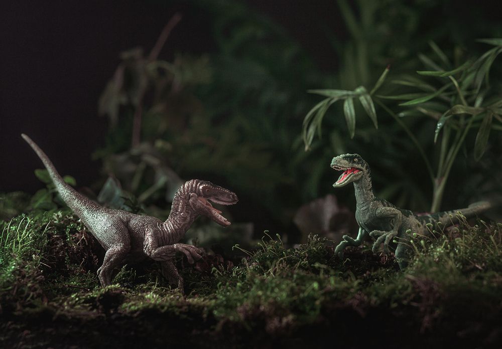 Фотография автора Галина Ворошилова