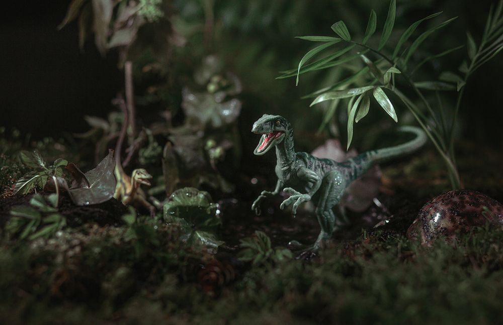 Фотография автора Галина Ворошилова