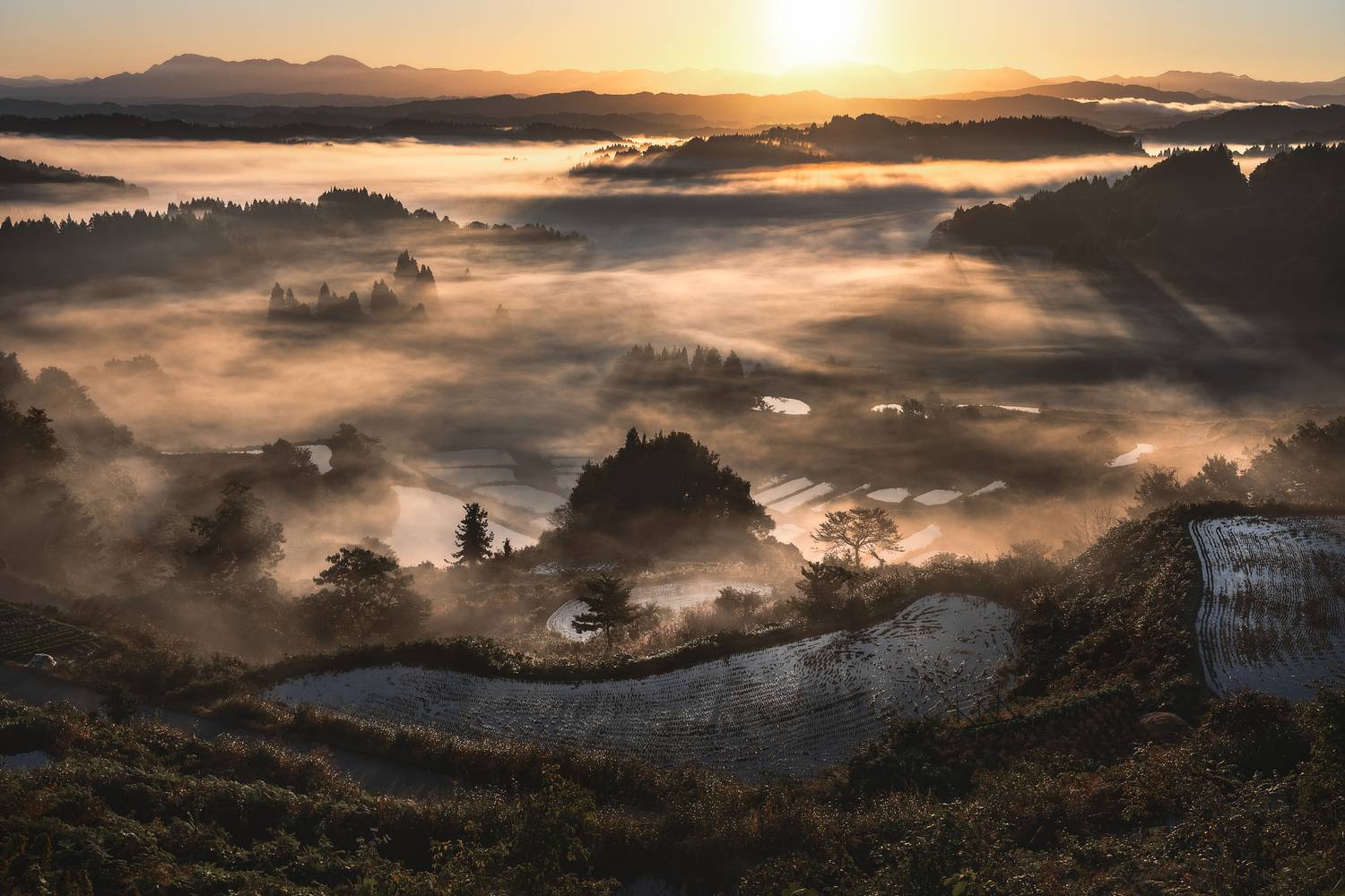 Фотография #12788552