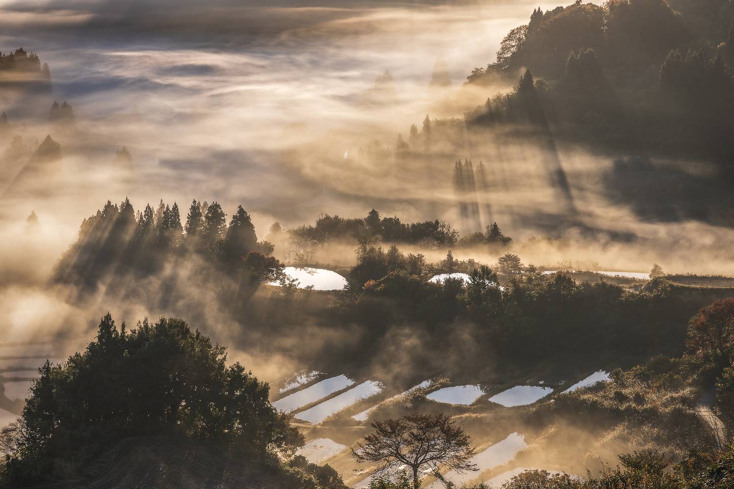 Фотография #12788558