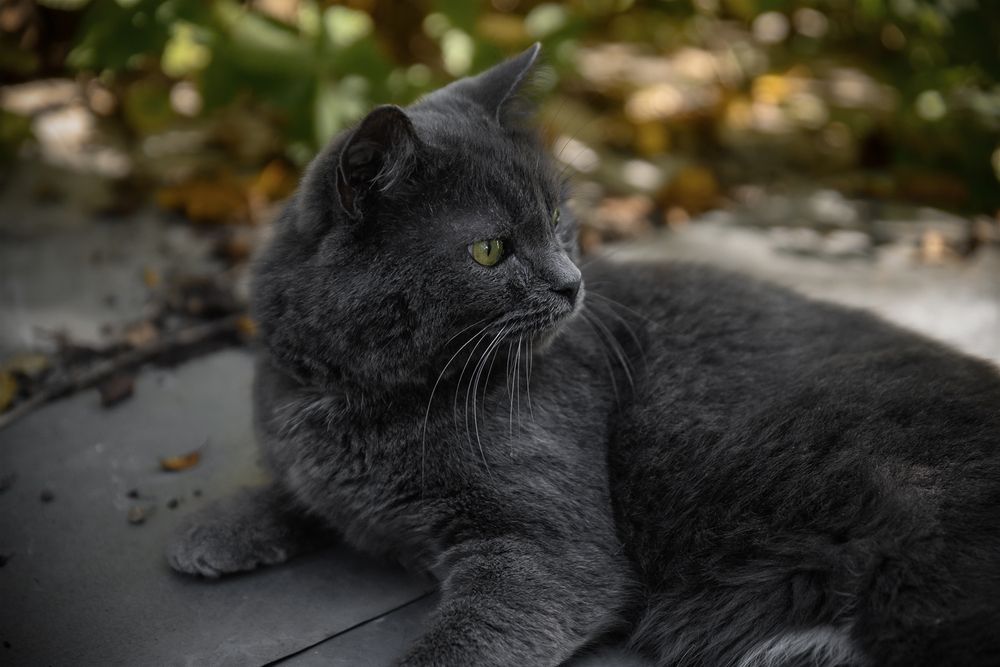 Photograph by Светлана Козлова