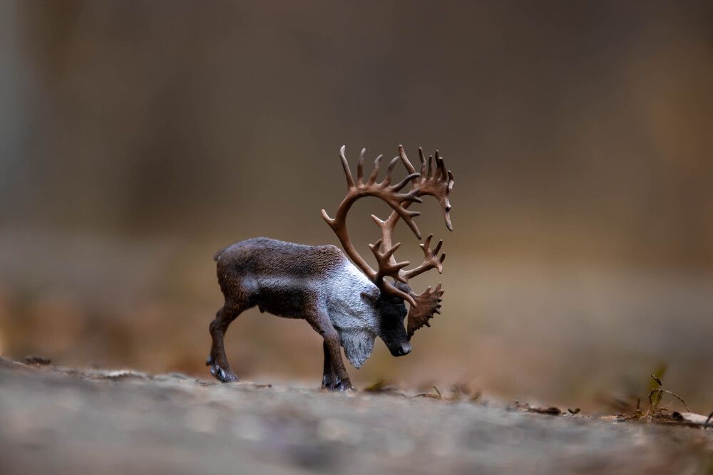 Фотография автора Дарья Сергеевна