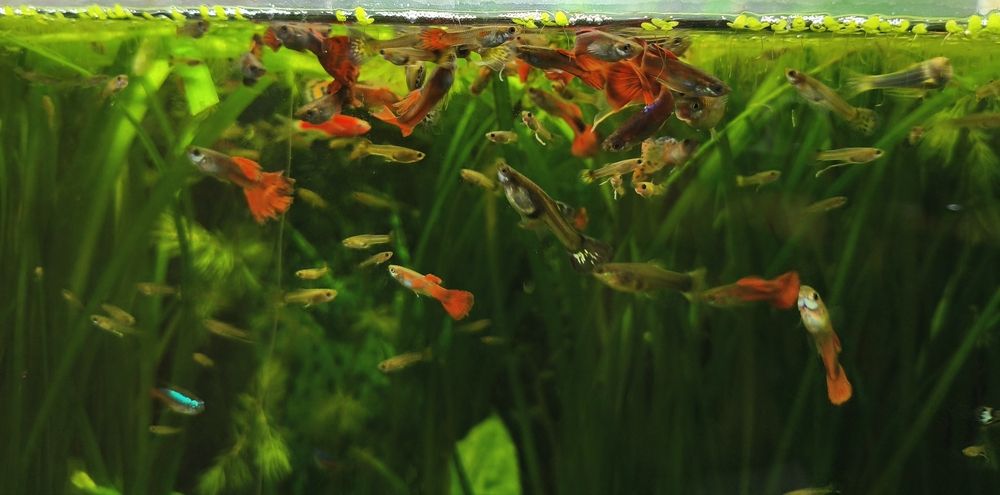 Photograph by Анастасия Никитюк