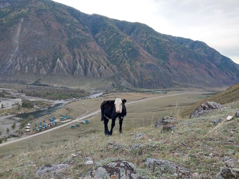 Photograph by Юлия Фирман