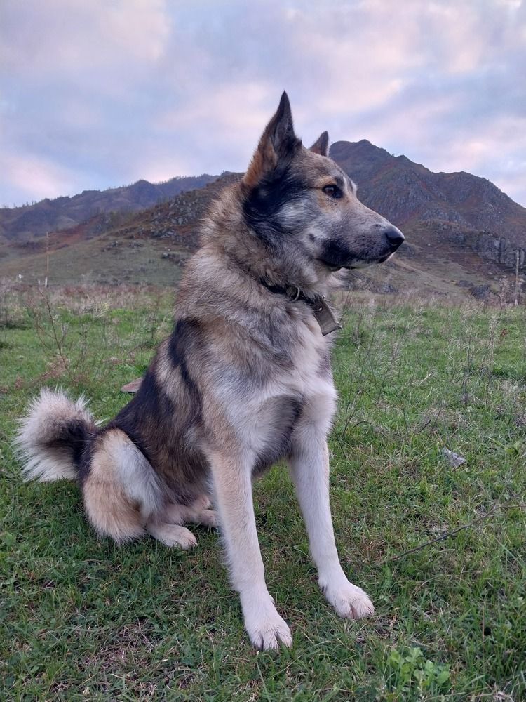 Photograph by Юлия Фирман