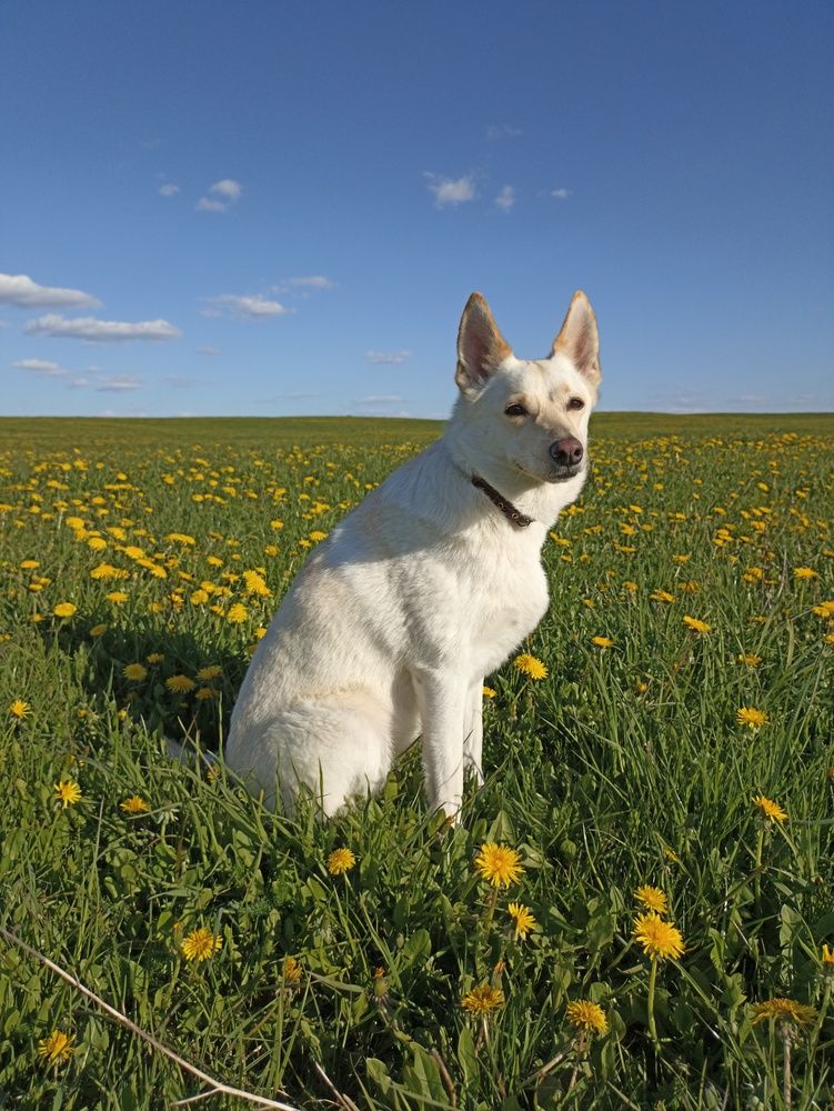 Photograph by Юлия