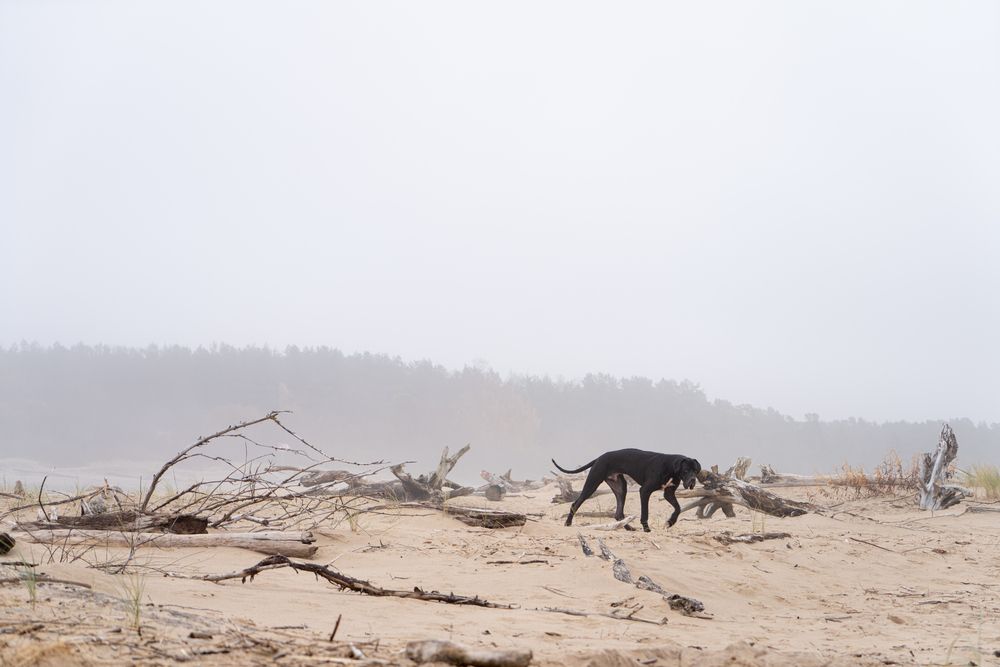 Фотография автора Ольга Матвеева