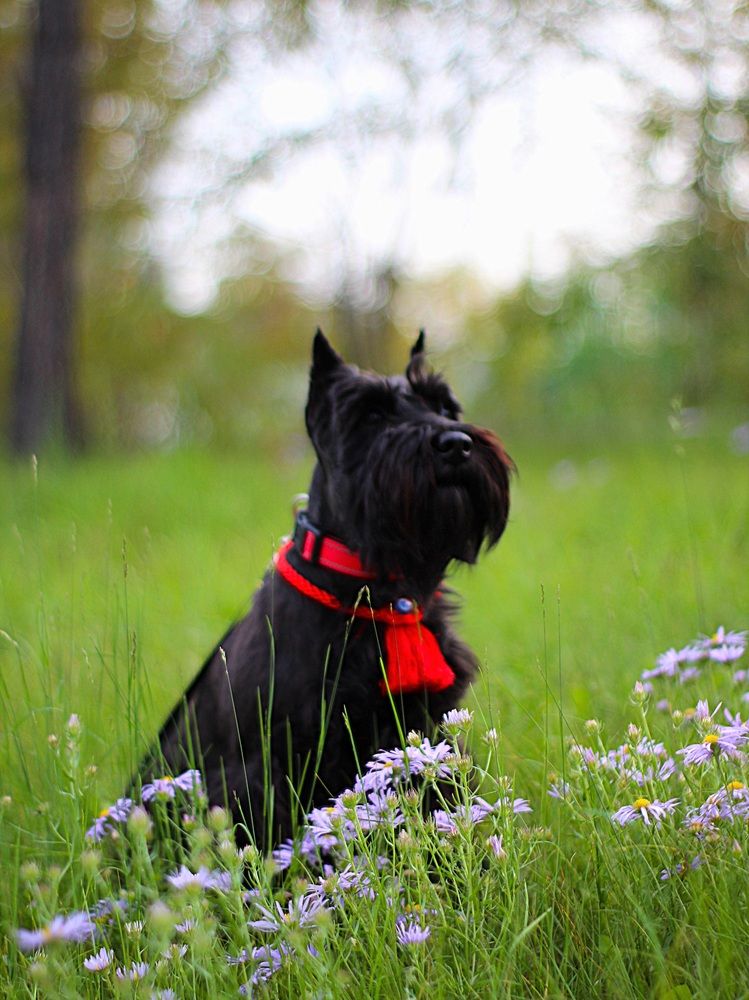 Photograph by Оксана Шарагина