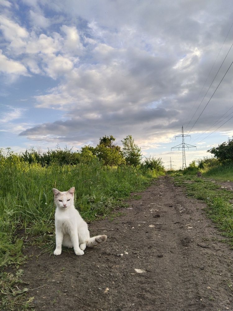 Photograph by Ольга Чернова