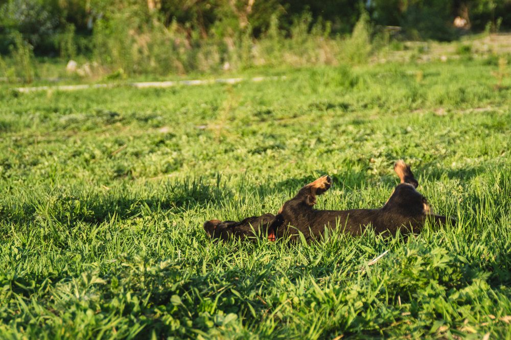 Фотография автора Дарья Обидина