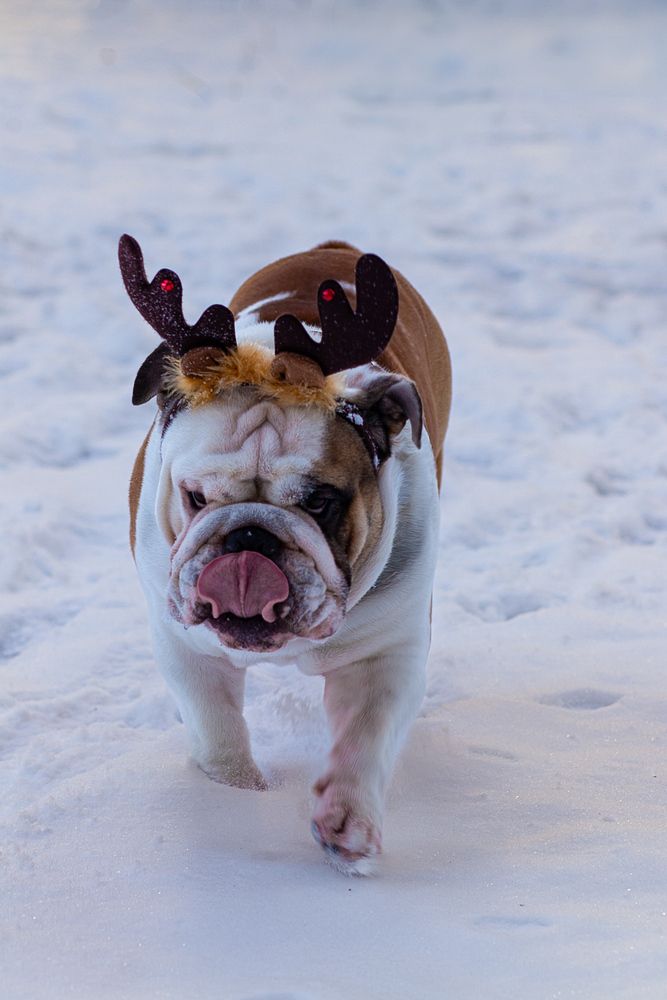 Фотография автора Ольга Матвеева