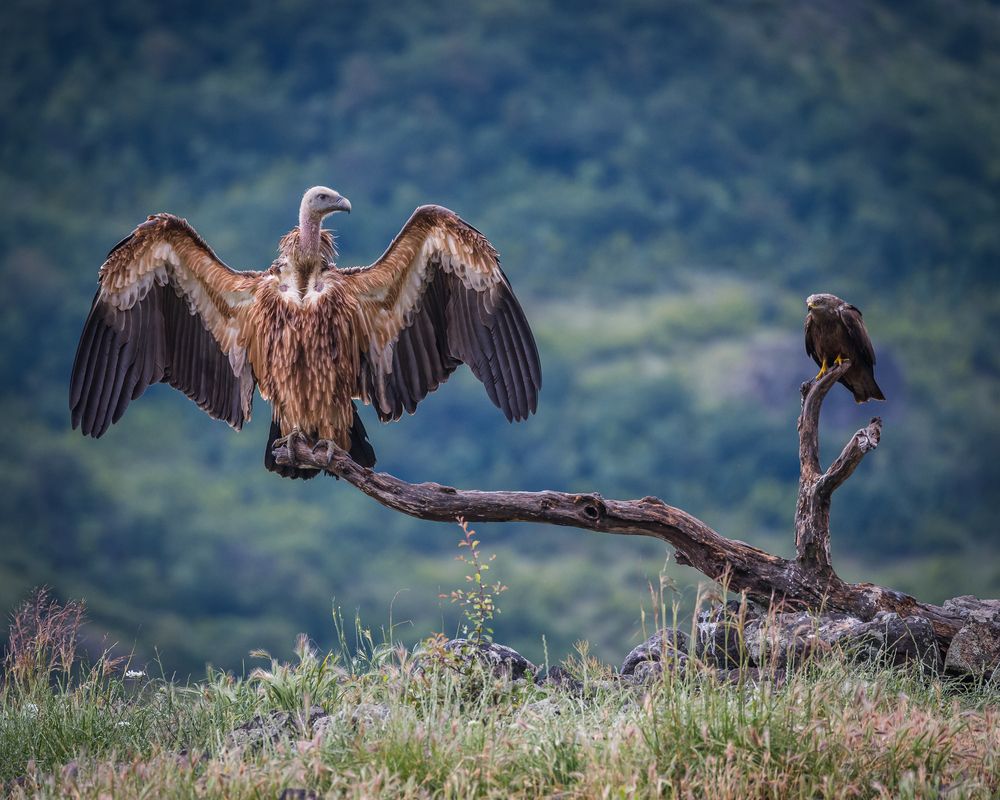 Photograph by Tarkolev Mladen