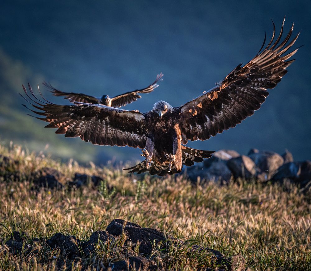 Фотография автора Tarkolev Mladen