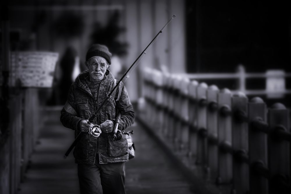 Фотография автора Talal Abodeshish